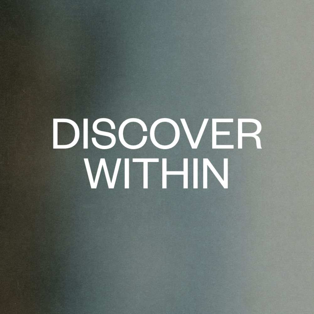 Discover Within Workbook